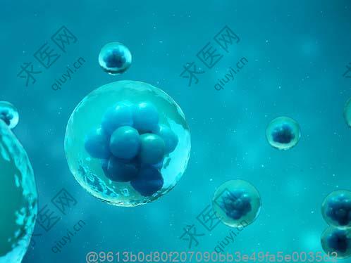 延安干细胞治疗痛风较好的医院