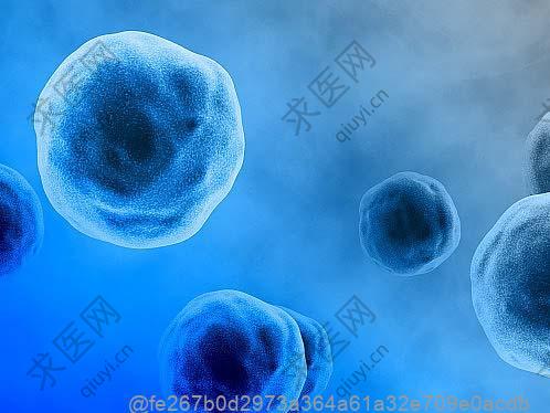 西宁免疫细胞多少钱一针？做免疫细胞的价格具体是多少
