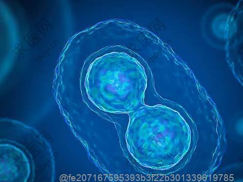 陕西免疫细胞机构哪家好，2024机构名单公布