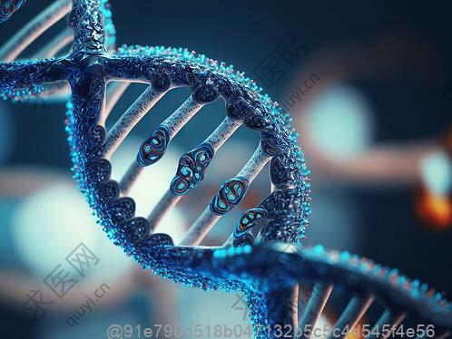 阳江肾萎缩干细胞治疗医院