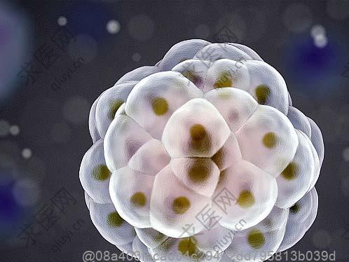 ct检查肺部磨玻璃11x9mm边界清