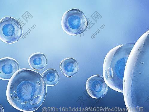 CD34+细胞的心肌细胞分化潜能研究
