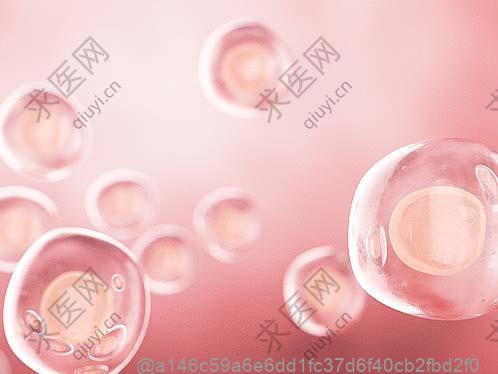 肾病要什么饮食好一点呢