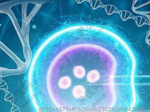 骨髓间充质干细胞通过调节自噬和铁死亡修复六价铬致睾丸损伤的研究