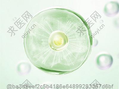 畸形精子症和少精症