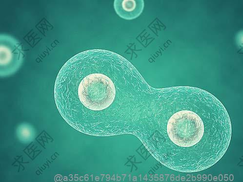 老年人腿脚无力、健忘、头晕是怎么回事