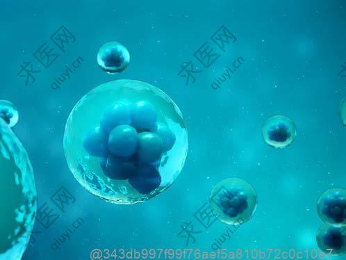 肝功能大三阳小三阳检查