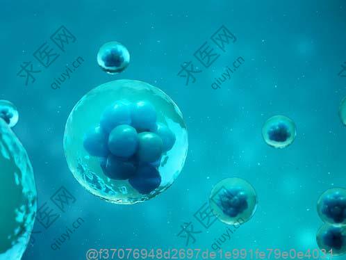 膀胱癌检查肿瘤标志物查什么项目