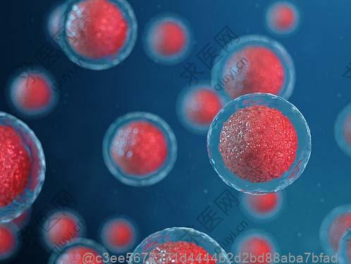 传染病四项可以检查出来hiv吗