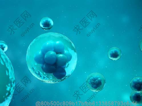 吃河虾再打干细胞的顺序要点