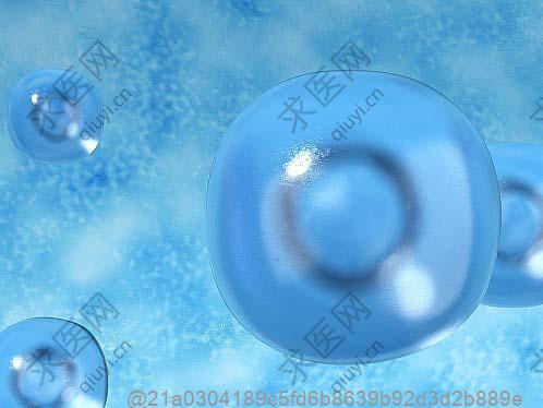 打了干细胞4个月后吃水果有什么讲究？