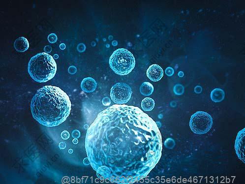 打干细胞可以吃什么热带水果适合常温存放两天？存放时长选择​