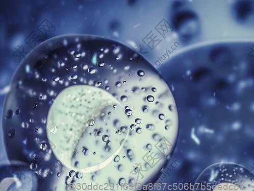 打干细胞后吃什么水果能补充蛋白质？水果搭配建议​