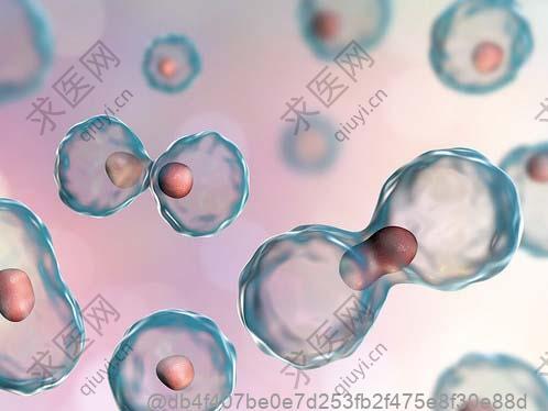 哪里可以打干细胞多少钱?河北干细胞注射机构价格透明吗
