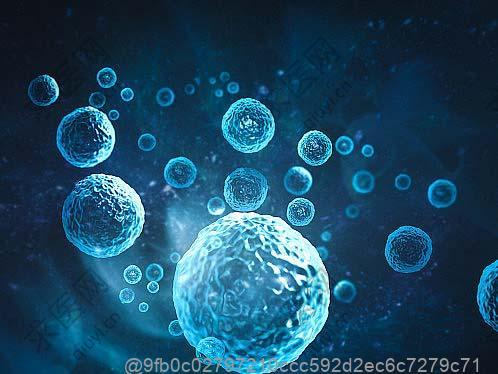 上海干细胞一般价格表2025，不同类型干细胞费用差异？
