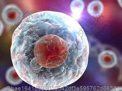 彩超显示甲状腺3a穿刺是癌