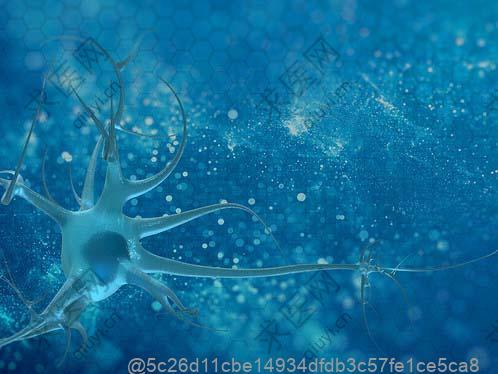 上海干细胞回输的医院有哪些？多少钱一支及治疗流程全解析