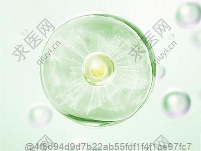 打完干细胞要注意饮食清淡吗？含贵州遵义羊肉粉食用建议​