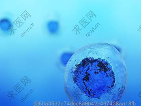 血压高适合喝什么自制饮品？柠檬泡水（无糖），自制控压饮品​