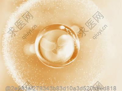 打完干细胞的注意事项有哪些？含山东煎饼的健康食用方法​