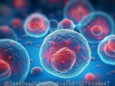 打过干细胞可以吃全麦面包吗？粗粮主食的选择标准​