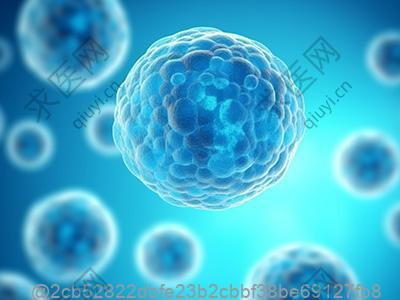 打完干细胞的注意事项有饮食限制吗？海南能吃椰子吗？​