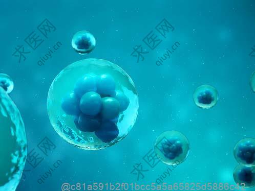 干细胞回输后有哪些其他水果可吃？